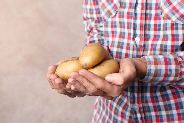 Person holding handful of fresh organic potatoes on color background - Fotó, kép