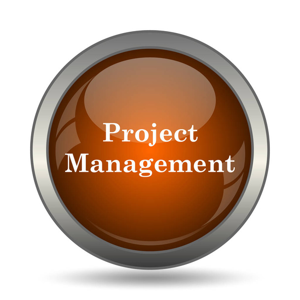 Project management icon. Internet button on white background. - Photo, image