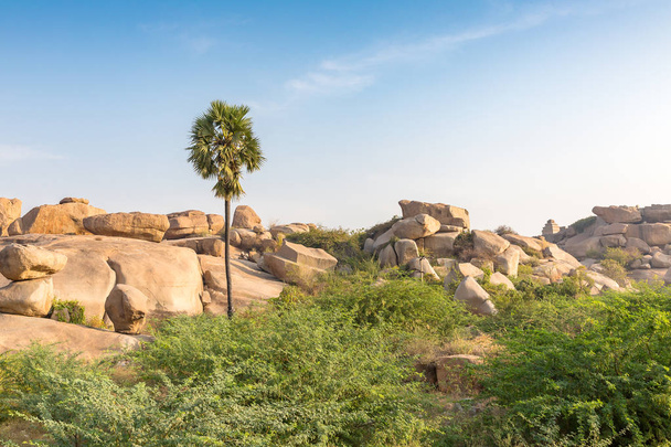 terreno rocoso con palmeras, Hampi, Karnataka, India
 - Foto, Imagen