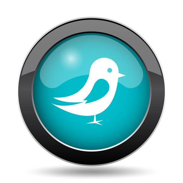 鳥のアイコン。白い背景の上の鳥のウェブサイト ボタン - 写真・画像