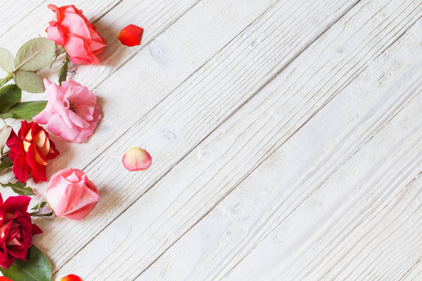 roses on white wooden background - Foto, Imagen