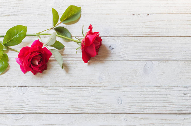 roses on white wooden background - Fotoğraf, Görsel