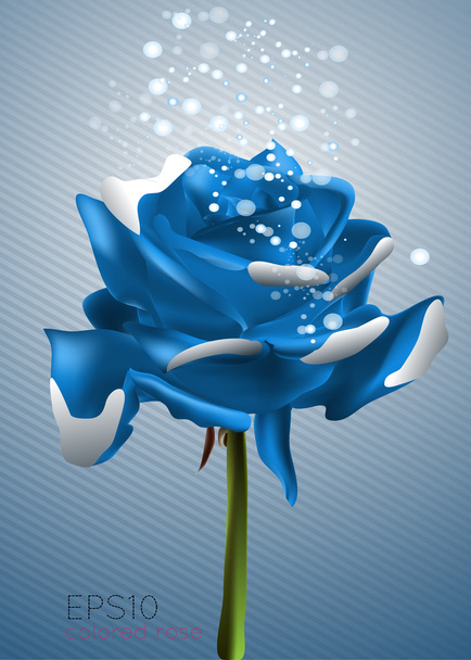 Beautiful blue rose, vector illustration - Vector, Image