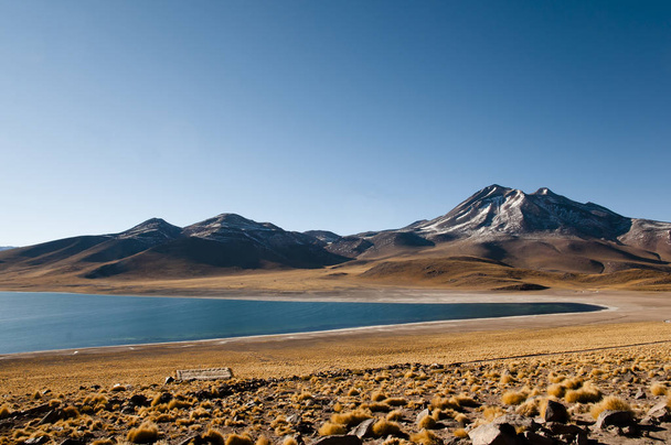 Лагуна Miscanti - Північна Чілі - Фото, зображення