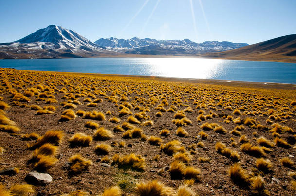 Лагуна Miscanti - Північна Чілі - Фото, зображення