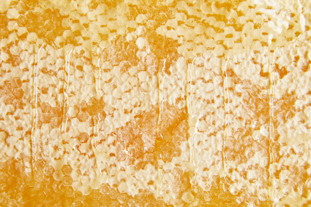 full frame of sweet beeswax with honey as background - Foto, Imagem