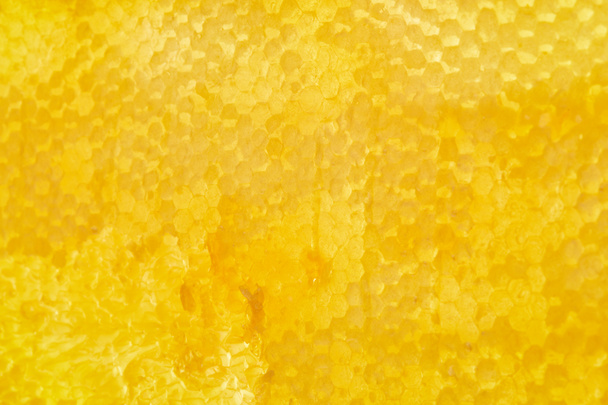full frame of beeswax with honey as background - Zdjęcie, obraz