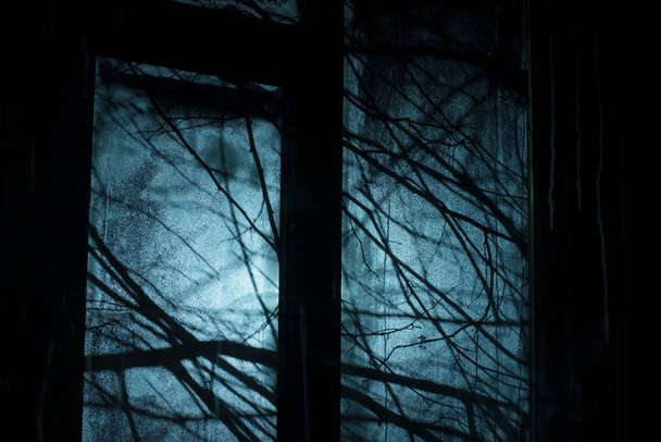Tło dla Halloween party projekt. Sylwetki gałęzie drzewa za oknem. Mroczny i przerażający widok z pokoju - Zdjęcie, obraz