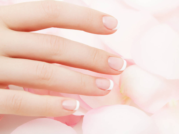Manicure, handen spa Beautiful woman handen, zachte huid, mooie nagels met bloemblaadjes van roze roze bloemen. Gezonde handen van de vrouw. Schoonheidssalon. Schoonheidsbehandeling. Vrouwelijke nagels met prachtige Franse manicure - Foto, afbeelding