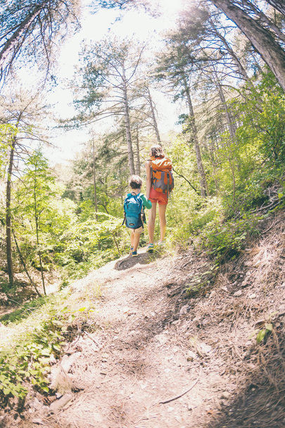 Uma mulher e seu filho caminham ao longo de uma trilha florestal. Um rapaz com uma mochila viaja com a mãe. Caminhe com crianças. O garoto caminha pela floresta de pinheiros. Férias activas de Verão. Lente Fisheye
. - Foto, Imagem