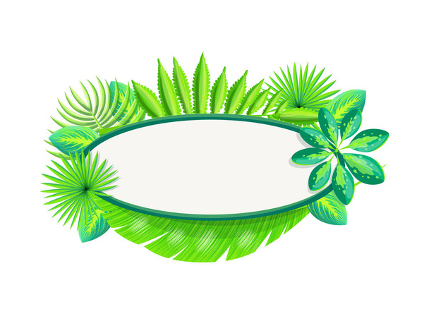 Empty Banner with Frame of Tropical Palm Leaves - Vector, Image