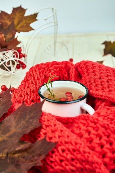 赤い秋のカエデの葉マグカップまたは赤の暖かいニット スカーフとホット ガマズミ属の木のお茶のカップ、ガマズミ果実白い背景。冬。クリスマス。寒い季節. - 写真・画像