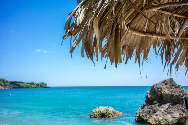 Ocean widok z dachu palm na plaży - Zdjęcie, obraz