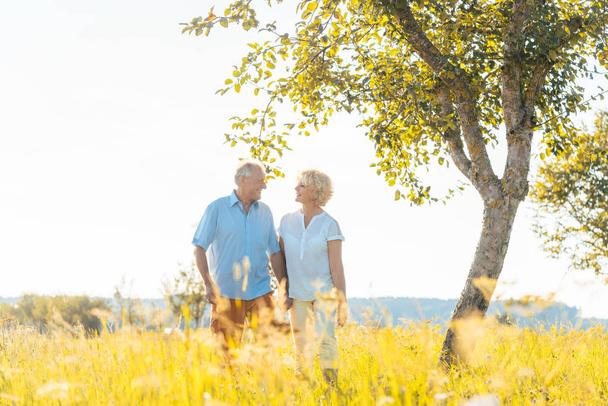 romantisches Senioren-Paar Händchen haltend beim gemeinsamen Spaziergang auf einem Feld - Foto, Bild