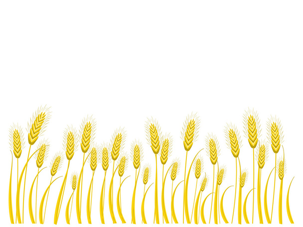 テキストのための場所と小麦の背景 - ベクター画像
