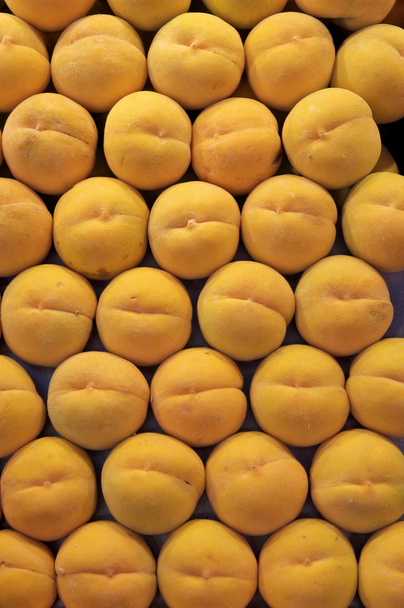 Apricots - Photo, Image