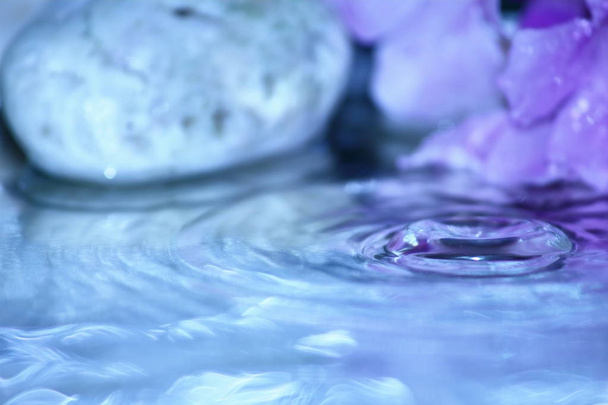красива свіжа крапля води в свіжій природі на фоні
 - Фото, зображення