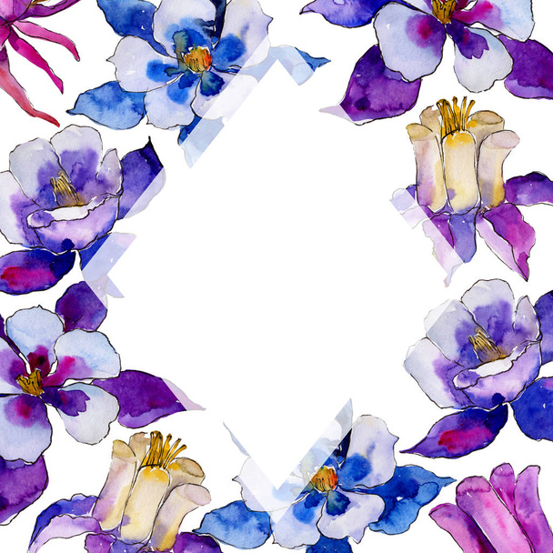 Watercolor blue aquilegia flower. Floral botanical flower. Frame border ornament square. Aquarelle wildflower for background, texture, wrapper pattern, frame or border. - 写真・画像