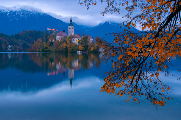 Νησί Bled στη λίμνη και προσκύνημα εκκλησία στην Κοίμηση της Θεοτόκου αντανακλάται στο νερό με το Φθινοπωρινό κλαδί δέντρου σε πρώτο πλάνο στο λυκόφως, Σλοβενία - Φωτογραφία, εικόνα