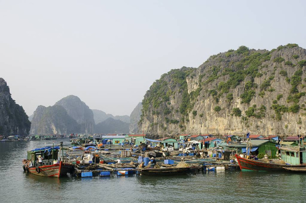 Barco de pesca tradicional en Vietnam
 - Foto, Imagen