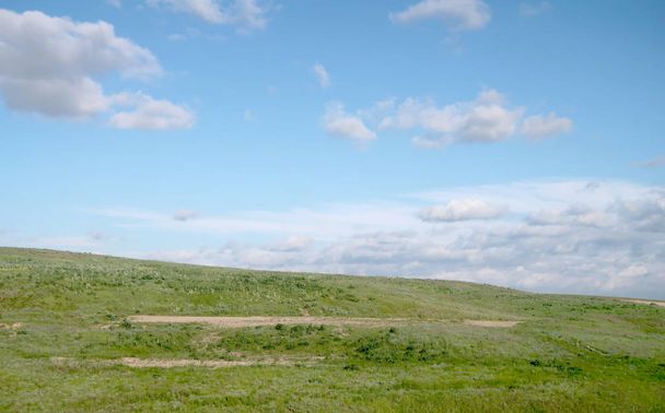 Green steppe hills on sunny day - Фото, зображення