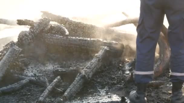 Feuerwehrmann löscht einen Brand aus einem Feuerwehrschlauch. bis auf die Kohlen verbrannt, schwarze Bäume rauchen vor dem Hintergrund der Füße der Menschen - Filmmaterial, Video