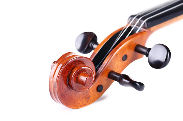 Violin head on white background - Photo, Image