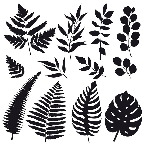 Set trend leaves silhouettes isolated on white background for design. Vector EPS10  - Διάνυσμα, εικόνα
