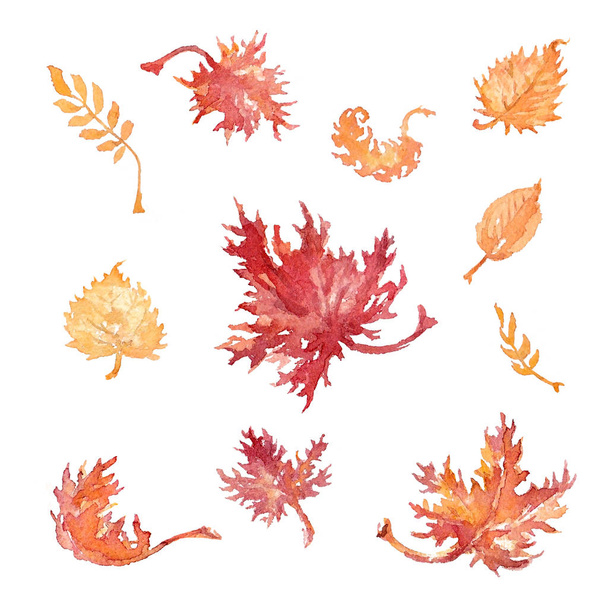 Kézzel rajzolt vízfesték készlet a lehullott levelek, a fehér háttér előtt. Illusztráció. - Fotó, kép
