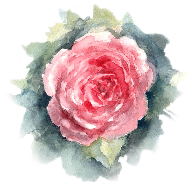 Hand drawn sketch of  Red Rose on a white background. Watercolor illustration. - Fotografie, Obrázek