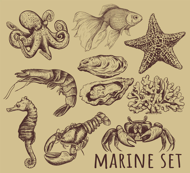 Marine animals collection illustration,  - Vector, Image