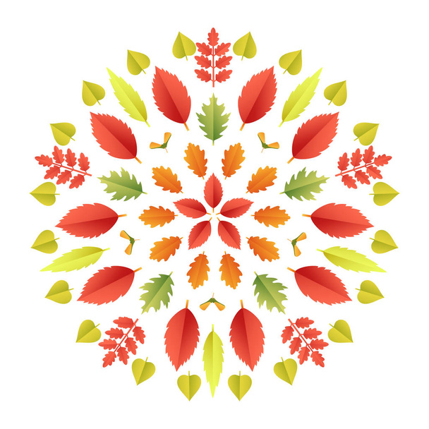 Autumnal mandala. Fall colorful leaves kaleidoscope isolated on white background. Paper cut 3d flat style, vector illustration - Vector, imagen