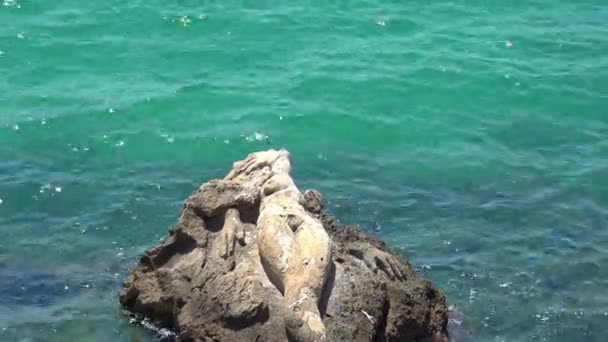 İtalya, Puglia bölge, Taranto, denize sıfır. Cliff denizkızı heykeli ile. - Video, Çekim