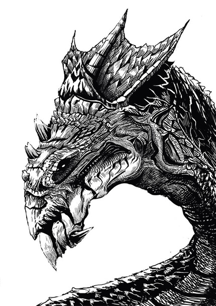Dragon tête image 33
 - Photo, image