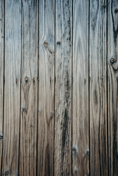 Wood texture, wooden wall - Photo, Image