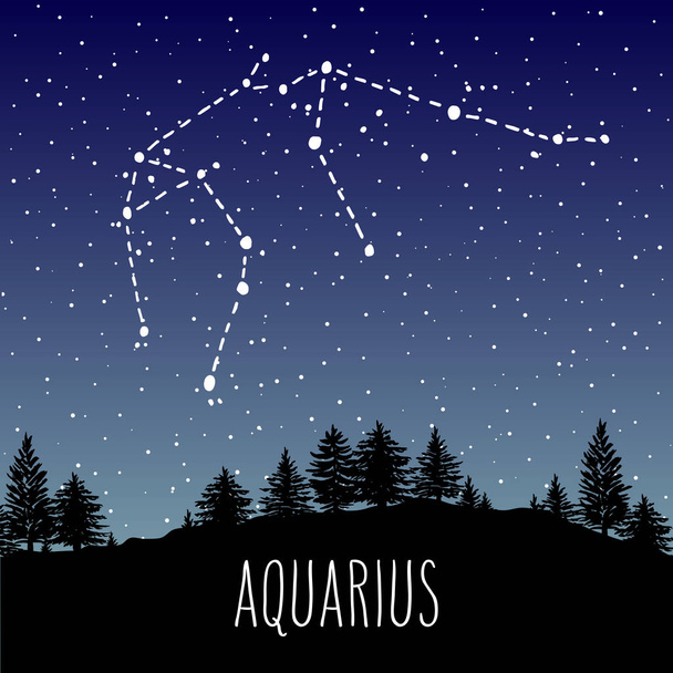 Aquarius hand drawn Zodiac sign constellation in a starry night sky over the coniferous forest. Vector graphics astrology illustration. Western horoscope mystic symbol in nature. - Διάνυσμα, εικόνα