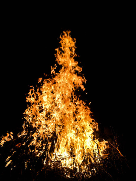 fuego gran fuego en la oscuridad para un fondo
 - Foto, Imagen