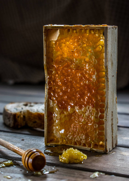 honey in honeycombs and bread - Fotografie, Obrázek