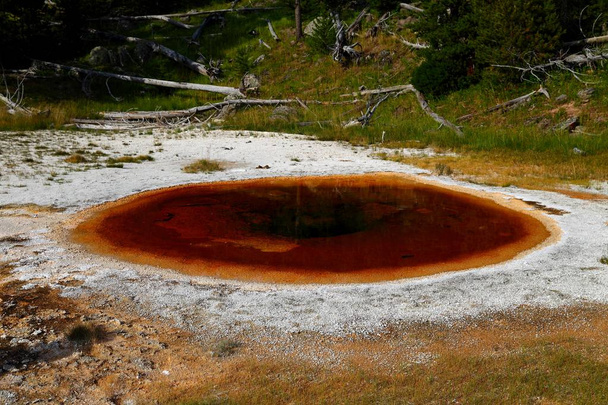 Source thermale chaude, bassin supérieur du Geyser, parc national Yellowstone, Wyoming, États-Unis
 - Photo, image