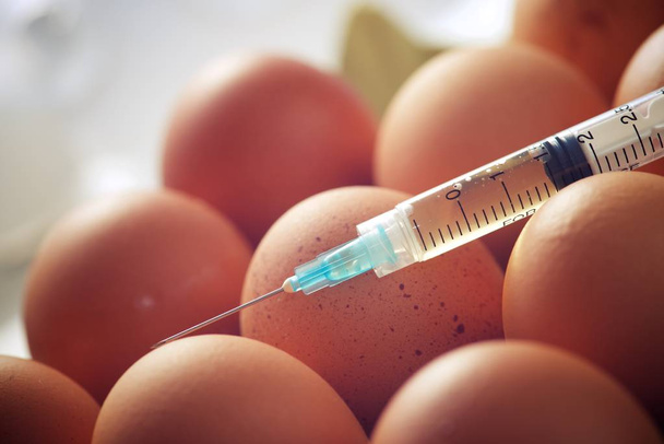 Manipulation hormonale avec seringue d "œufs
. - Photo, image