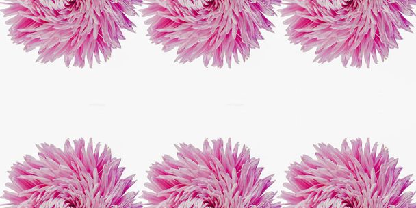Värikäs aster kukkia muodostavat kehyksen taustalla, minimaalinen käsite, ylhäältä, kopioi tilaa tekstin Group Objects kuvio
 - Valokuva, kuva