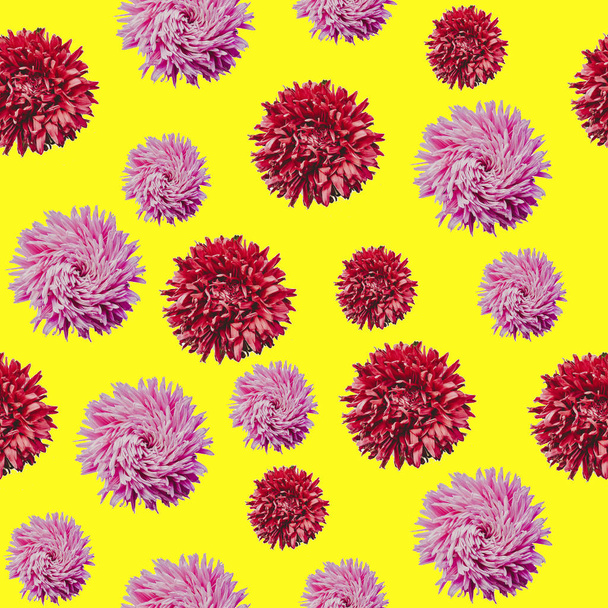 カラフル アスターの花を最小限のコンセプトの背景にフレームを形成トップを表示、あなたのテキストのグループ オブジェクト パターンをコピー スペース - 写真・画像