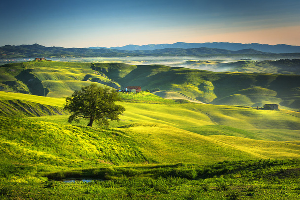 Toscana - Itália
 - Foto, Imagem