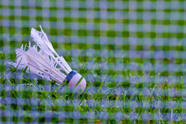 badmintonový míček na zelené trávě sammer pozadí - Fotografie, Obrázek