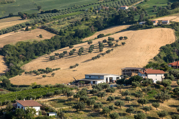 Panoramisch zicht van olijfbomen en boerderijen op de glooiende heuvels van Abruzzo. Italië - Foto, afbeelding