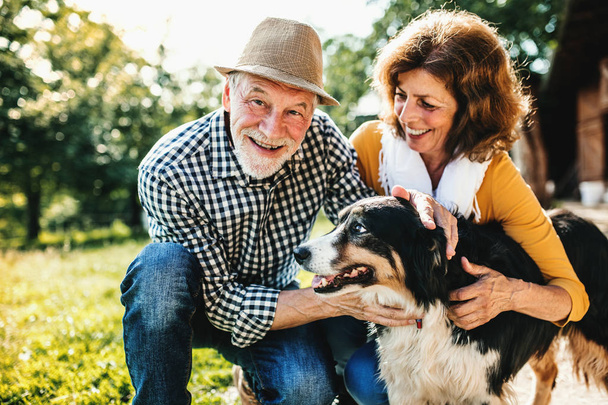 A senior couple crouching and petting a dog. - Foto, afbeelding