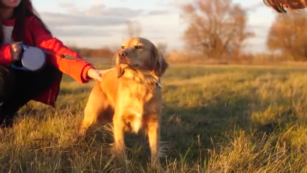 Anne ve kızı Park sonbaharda çayırda köpekle oynar - Video, Çekim
