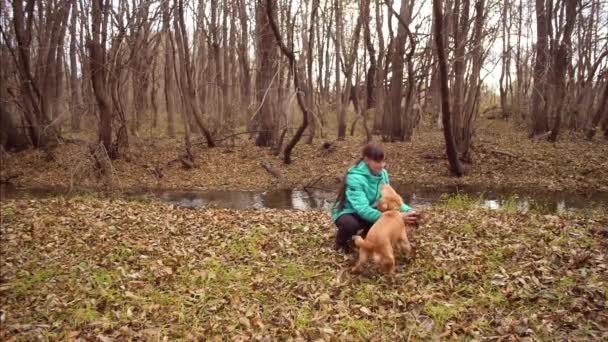 Meisje met hond is herfstbladeren overgeven. Slow motion. - Video