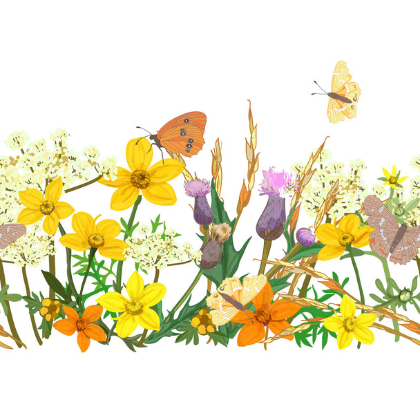 Naadloze patroon van wilde bloemen en vlinders, vectorillustratie. - Vector, afbeelding