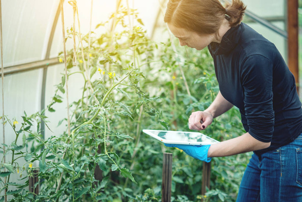 Nő szakember agronómus gazdaság egy tabletta. Környezetbarát termelési gazdaságok fogalmának - Fotó, kép